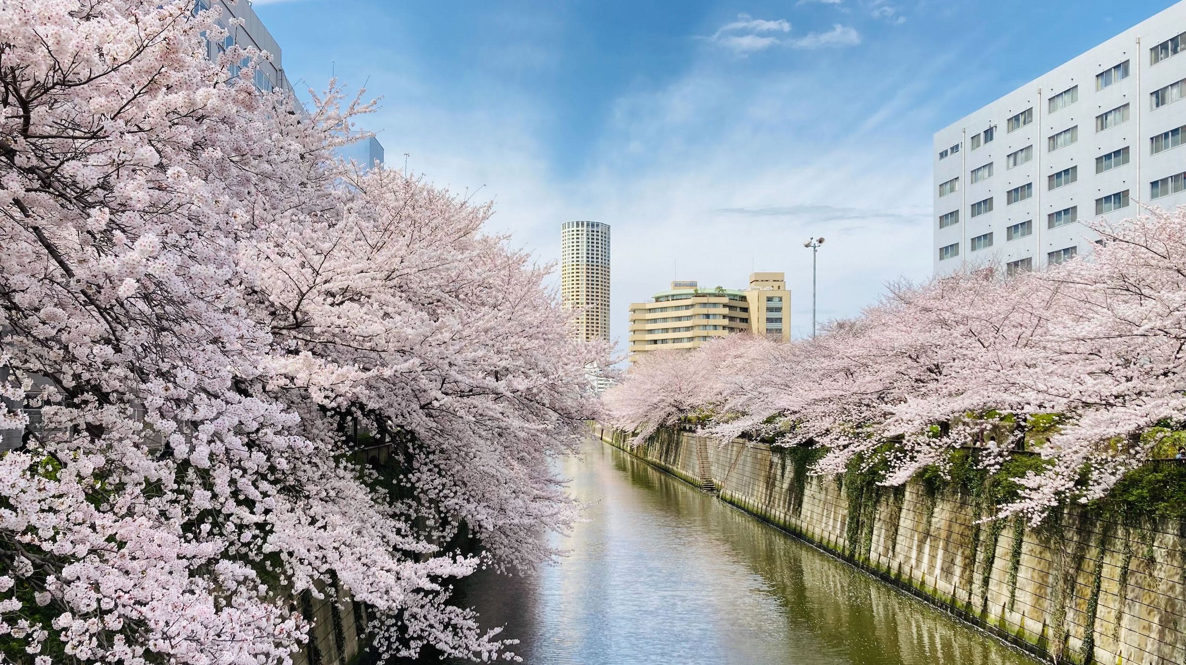 Stripe launches Konbini and Furikomi, deepening investment in Japan