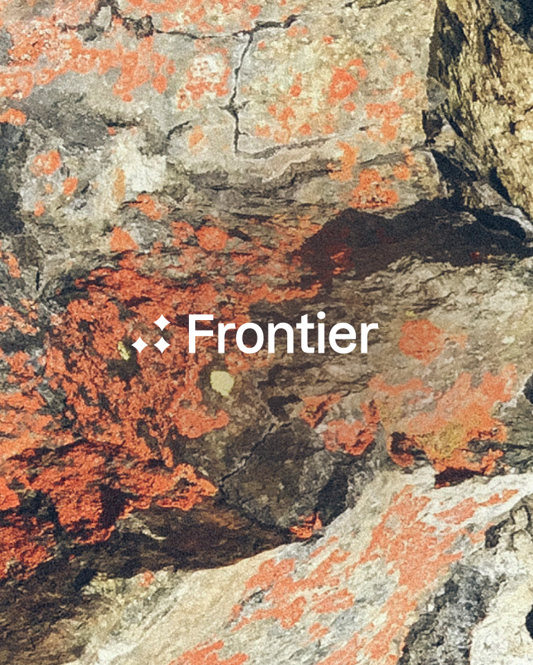 Stripe Frontier logo overlaid on a close-up photograph of grey rock covered in orange lichen.