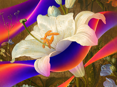 Digital artwork blending a classical white peony, a red admiral butterfly, and a caterpillar with flowing purple and orange gradient ribbons.