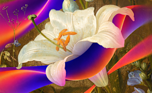 Digital artwork blending a classical white peony, a red admiral butterfly, and a caterpillar with flowing purple and orange gradient ribbons.