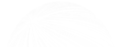 Data visualization graphic