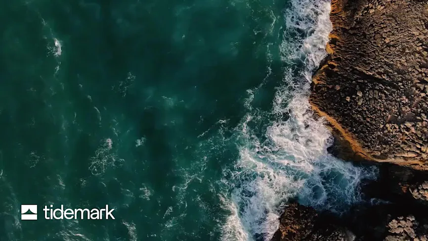 Tidemark’s vertical and SMB SaaS benchmark report.