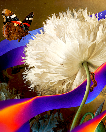Digital artwork blending a classical white peony, a red admiral butterfly, and a caterpillar with flowing purple and orange gradient ribbons.