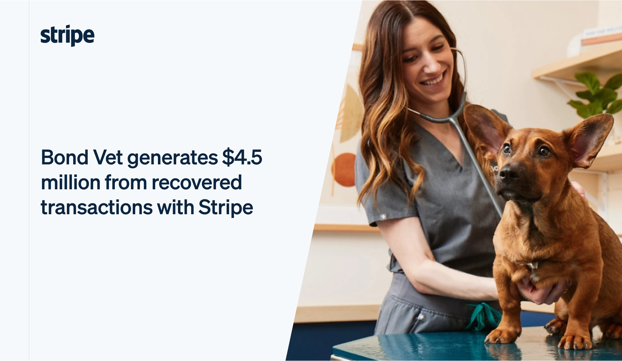 Bond Vet Generates $4.5 million from 15,000 Recovered Transactions | Stripe